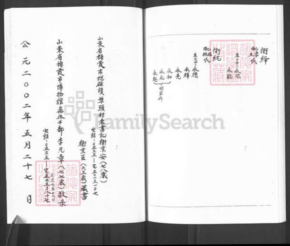山东省烟台市栖霞市官道镇卫氏族谱-卫氏谱书.pdf电子版预览图4