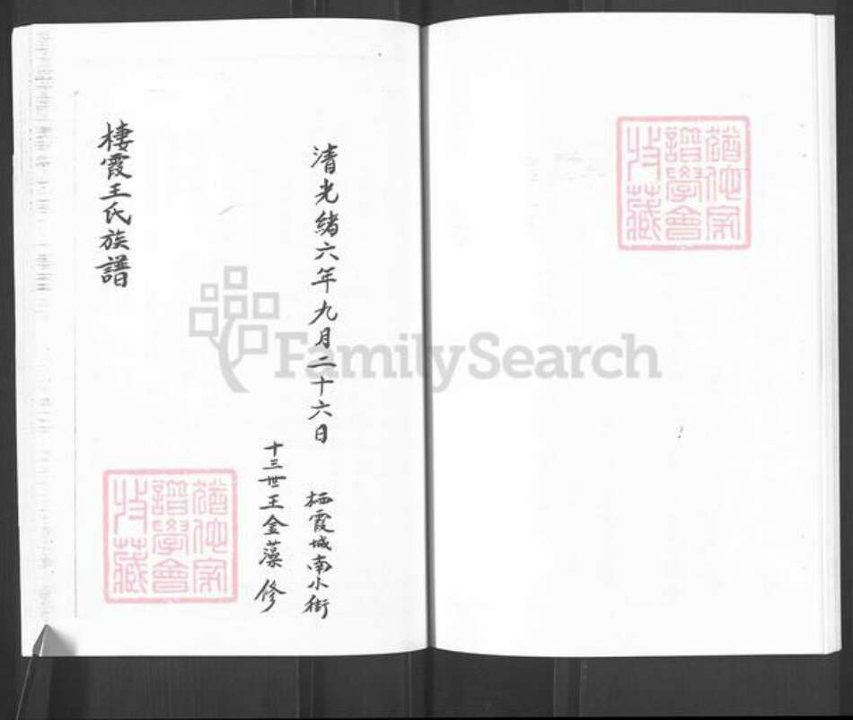 山东省烟台市栖霞市官道镇卫氏族谱-卫氏谱书.pdf电子版预览图5