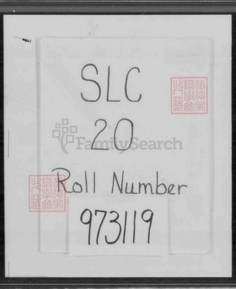 福建省广东省魏氏族谱-魏氏大族谱.pdf电子版缩略图