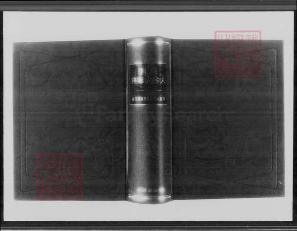 福建省广东省魏氏族谱-魏氏大族谱.pdf电子版预览图4