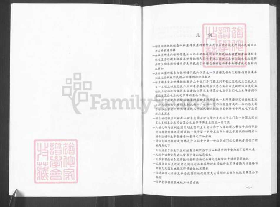 河南省郑州市荥阳市汜水镇魏氏族谱-汜水魏氏族谱.pdf电子版预览图4