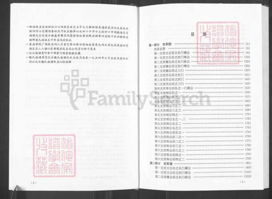 河南省郑州市荥阳市汜水镇魏氏族谱-汜水魏氏族谱.pdf电子版预览图5