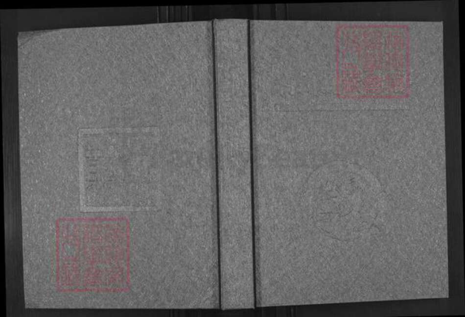 广东省揭阳市榕城区渔湖镇魏氏族谱-潮州魏氏族谱.pdf电子版缩略图