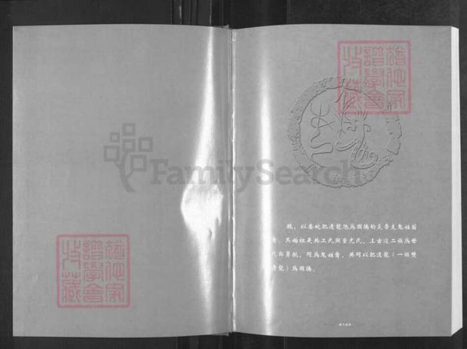 广东省揭阳市榕城区渔湖镇魏氏族谱-潮州魏氏族谱.pdf电子版预览图1