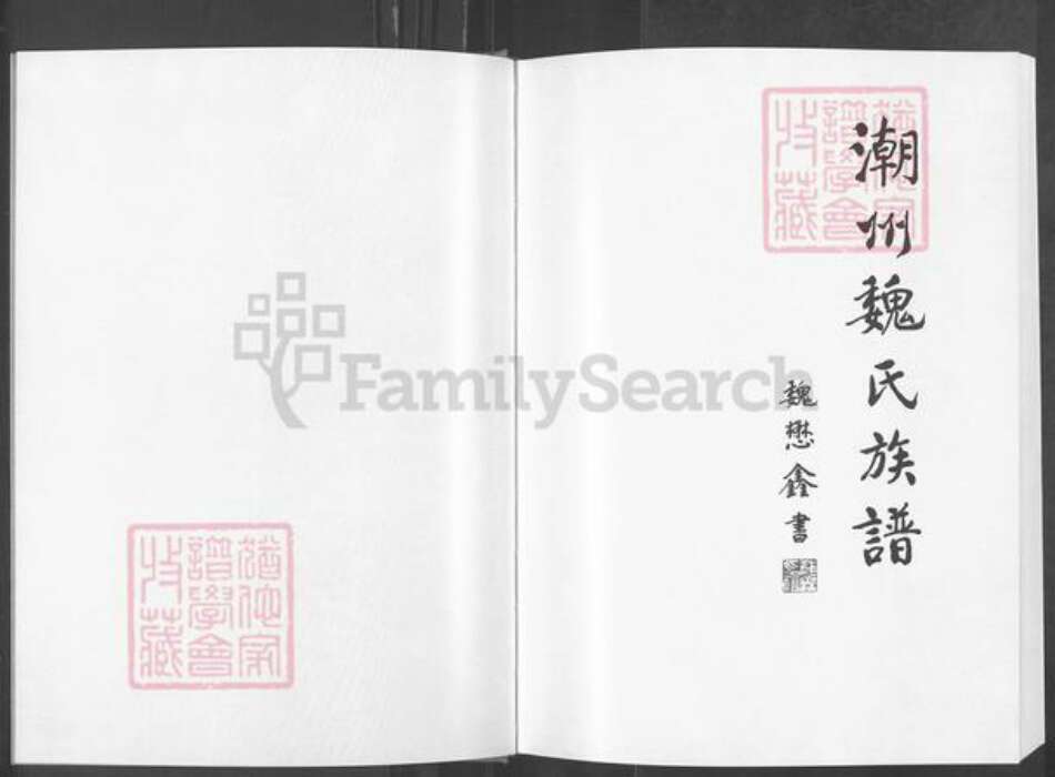 广东省揭阳市榕城区渔湖镇魏氏族谱-潮州魏氏族谱.pdf电子版预览图2