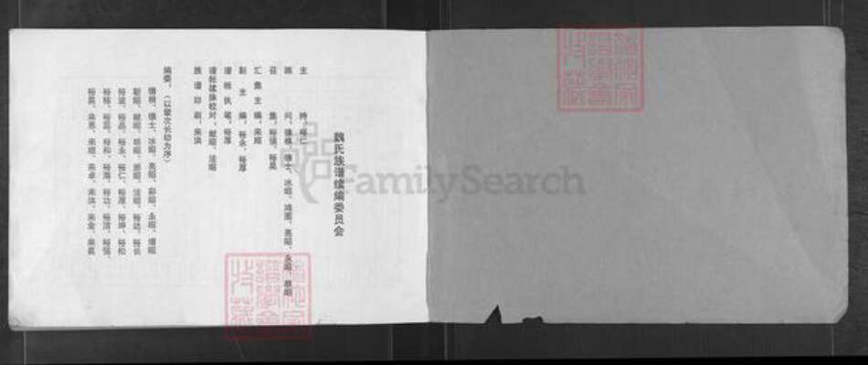 河南省濮阳市华龙区孟轲乡魏氏族谱-魏氏家谱.pdf电子版预览图1