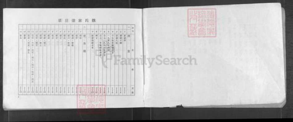 河南省濮阳市华龙区孟轲乡魏氏族谱-魏氏家谱.pdf电子版预览图2