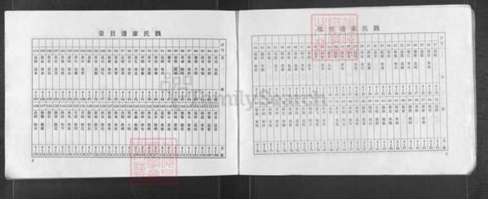 河南省濮阳市华龙区孟轲乡魏氏族谱-魏氏家谱.pdf电子版预览图4