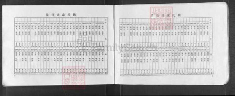 河南省濮阳市华龙区孟轲乡魏氏族谱-魏氏家谱.pdf电子版预览图5