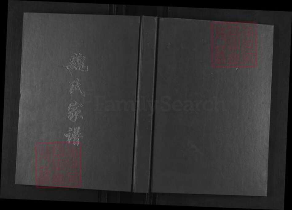 河南省许昌市建安区榆林乡魏氏族谱-魏氏家谱.pdf电子版缩略图