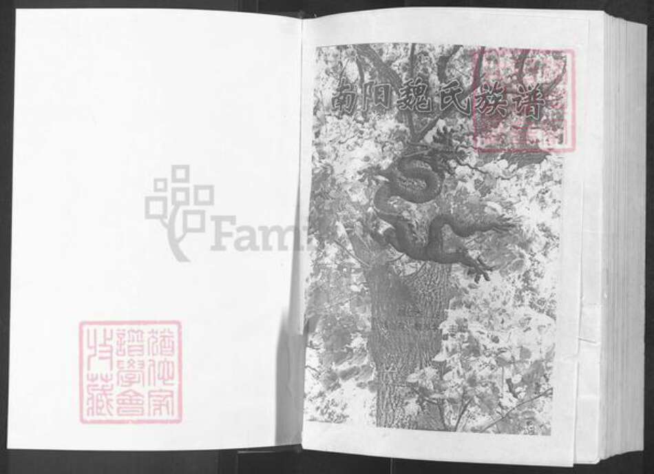 河南省南阳市新野县施庵镇河南省南阳市魏氏族谱-南阳魏氏族谱.pdf电子版预览图1