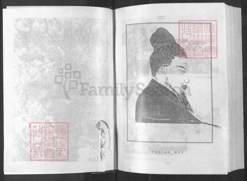 河南省南阳市新野县施庵镇河南省南阳市魏氏族谱-南阳魏氏族谱.pdf电子版预览图2