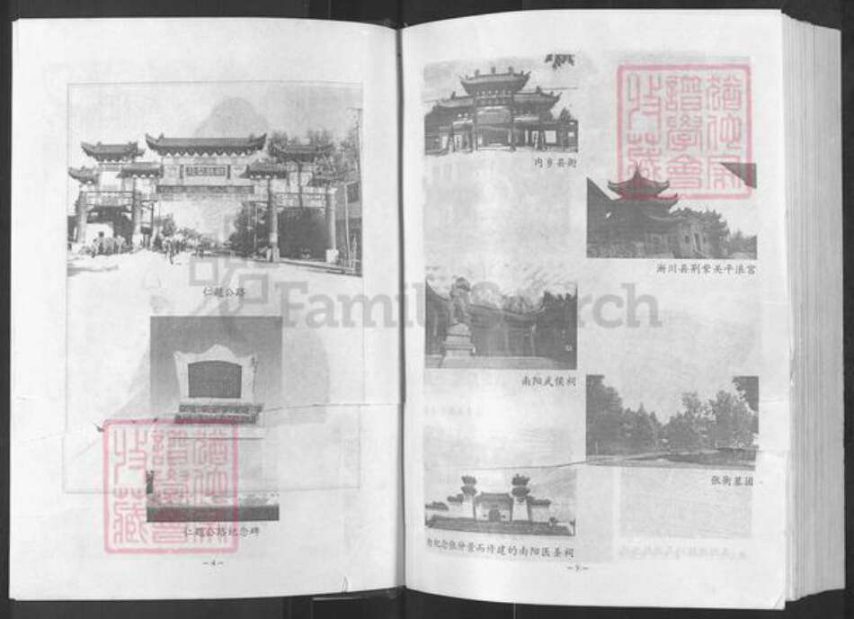 河南省南阳市新野县施庵镇河南省南阳市魏氏族谱-南阳魏氏族谱.pdf电子版预览图3