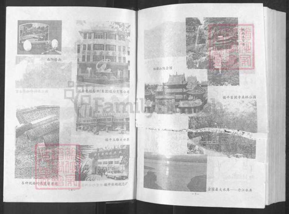 河南省南阳市新野县施庵镇河南省南阳市魏氏族谱-南阳魏氏族谱.pdf电子版预览图4