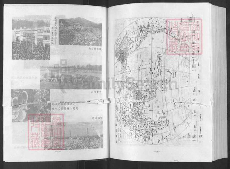 河南省南阳市新野县施庵镇河南省南阳市魏氏族谱-南阳魏氏族谱.pdf电子版预览图5