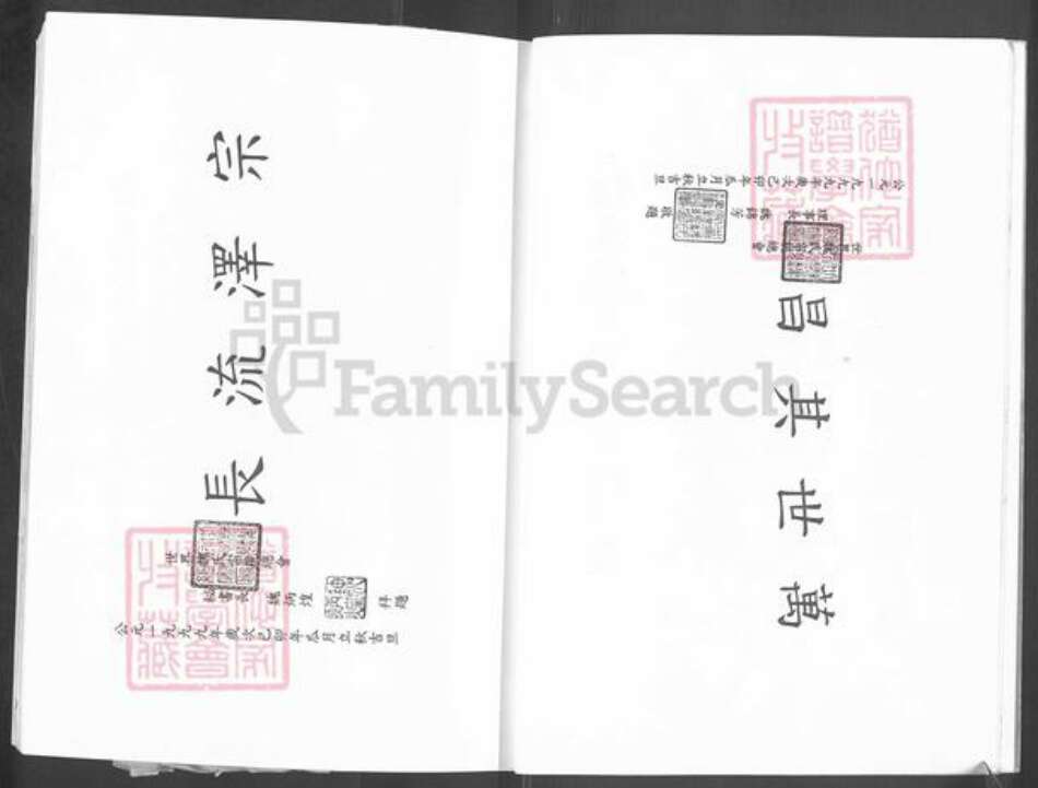 福建省漳州市云霄县下河乡魏氏巨鹿堂族谱-巨鹿魏氏族谱.pdf电子版预览图3