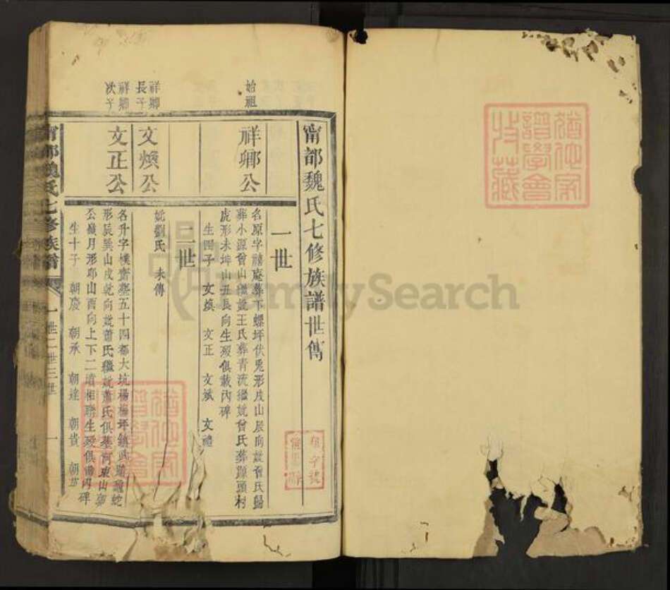 江西省赣州市宁都县魏氏族谱-宁都魏氏七修族谱.pdf电子版预览图1