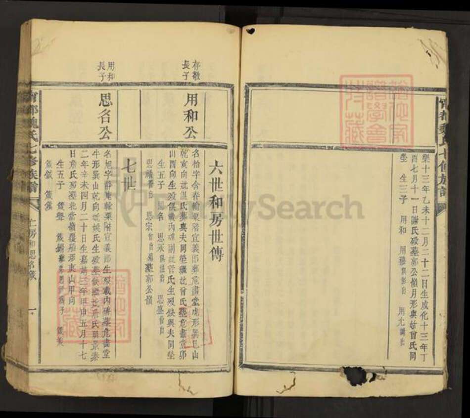 江西省赣州市宁都县魏氏族谱-宁都魏氏七修族谱.pdf电子版预览图4