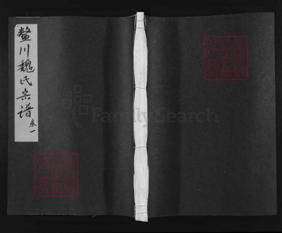 浙江省衢州常山县魏氏族谱-鳌川魏氏宗谱.pdf电子版缩略图