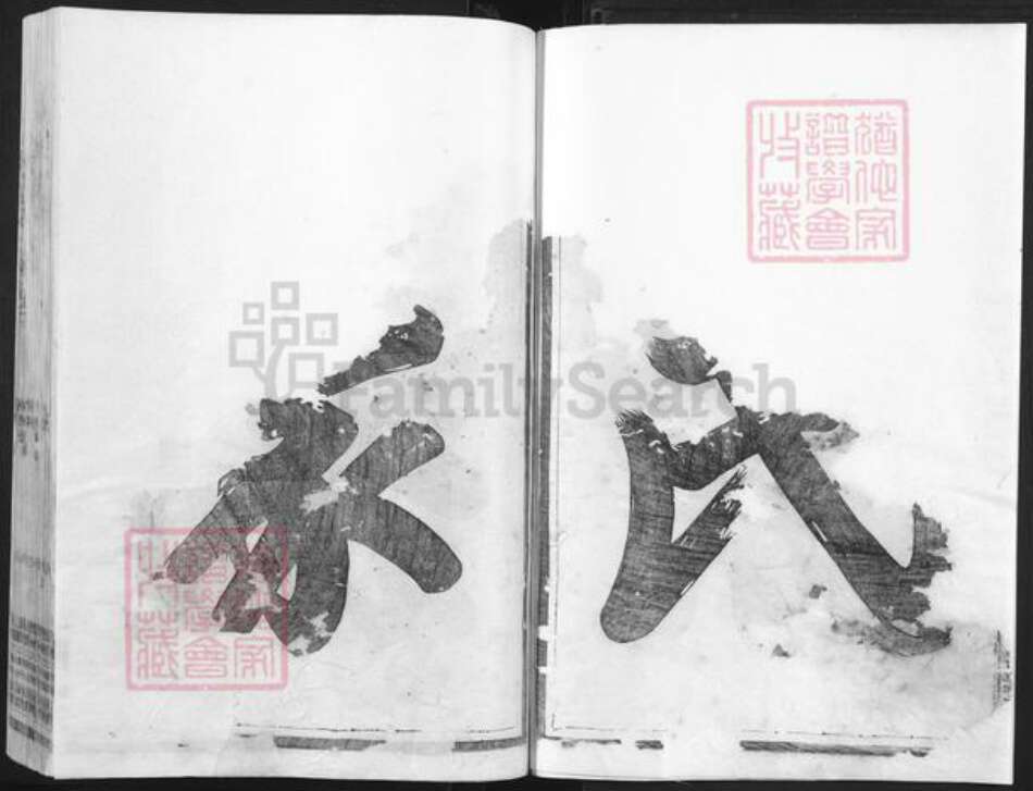 浙江省衢州常山县魏氏族谱-鳌川魏氏宗谱.pdf电子版预览图2