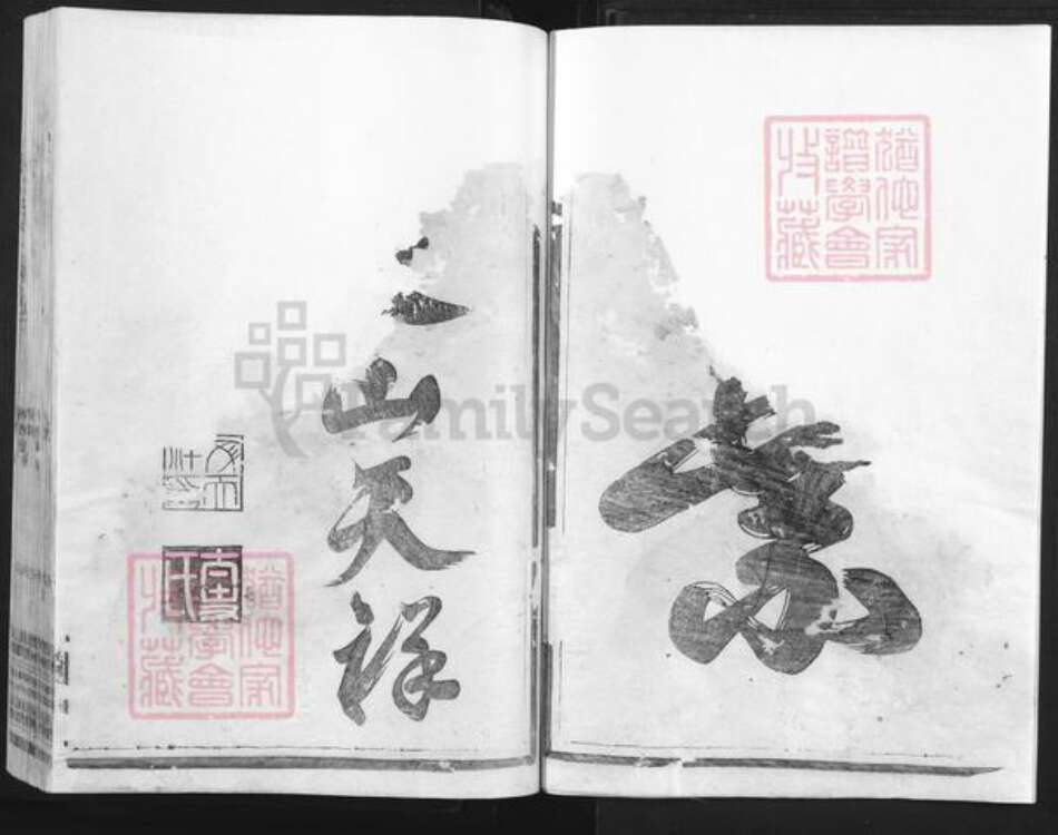 浙江省衢州常山县魏氏族谱-鳌川魏氏宗谱.pdf电子版预览图3