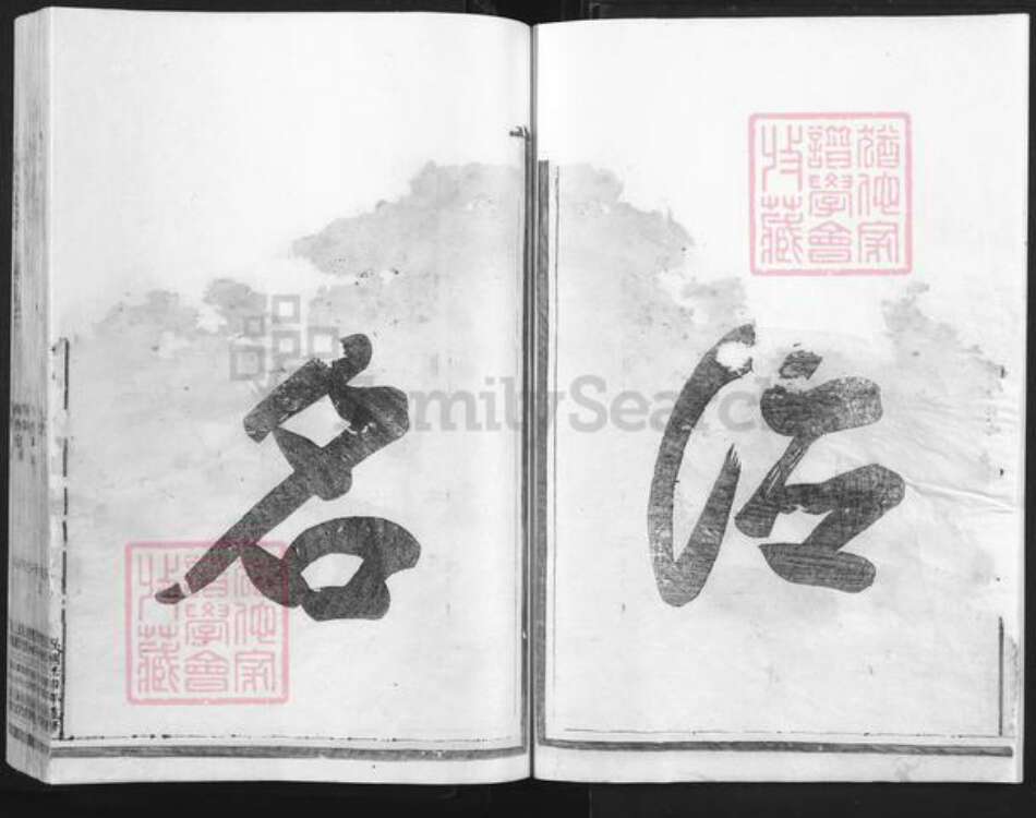 浙江省衢州常山县魏氏族谱-鳌川魏氏宗谱.pdf电子版预览图5