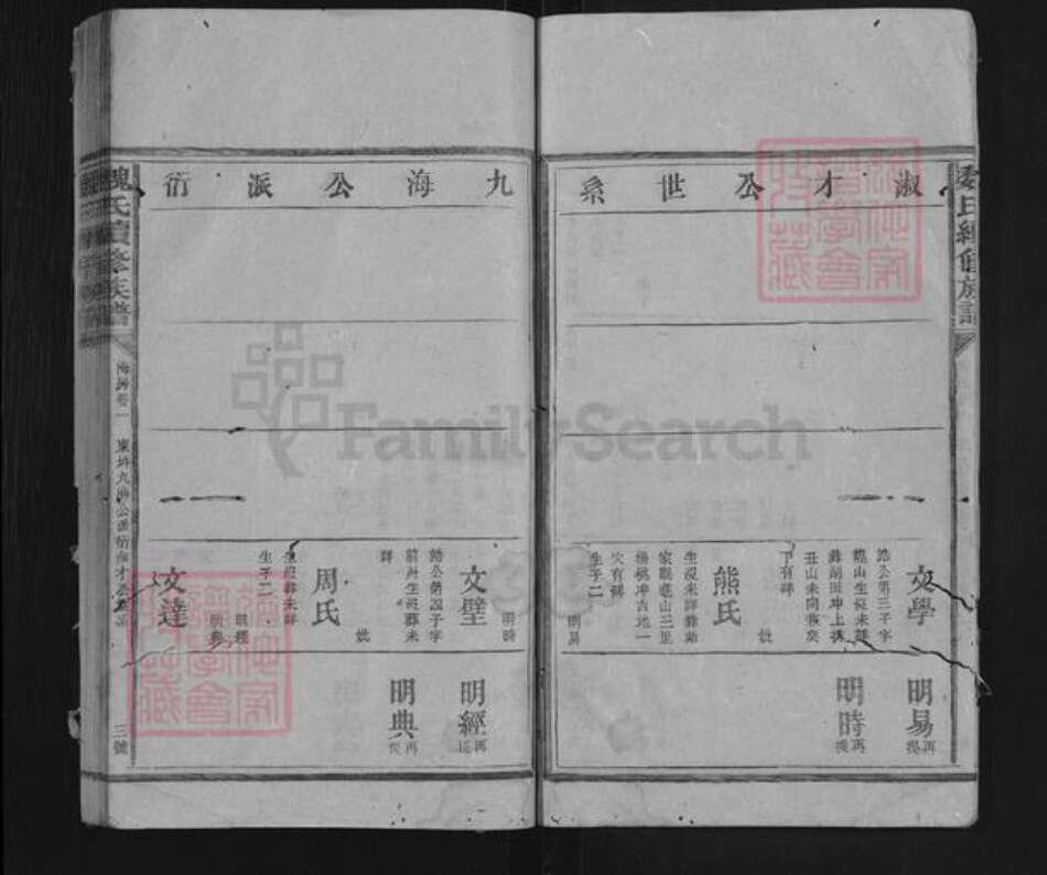 湖南省益阳市安化县东坪镇魏氏族谱-魏氏续修族谱.pdf电子版预览图3