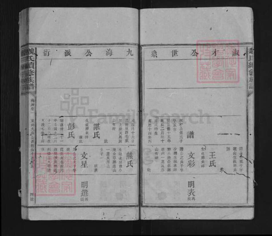 湖南省益阳市安化县东坪镇魏氏族谱-魏氏续修族谱.pdf电子版预览图4