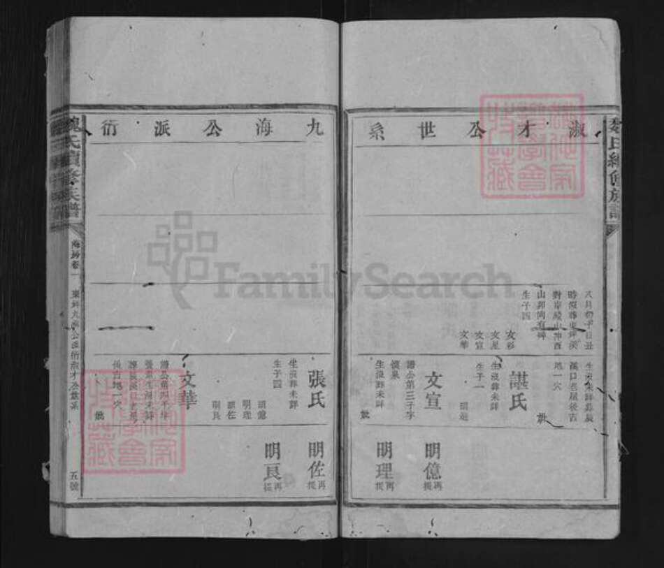 湖南省益阳市安化县东坪镇魏氏族谱-魏氏续修族谱.pdf电子版预览图5