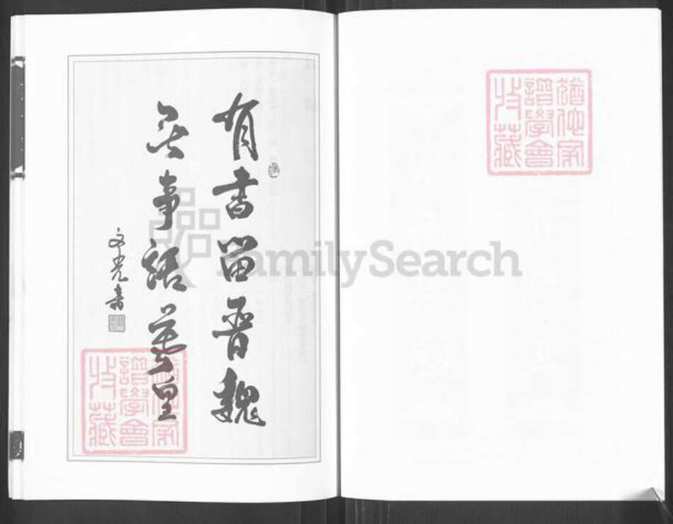 广东省揭阳市榕城区魏氏族谱-潮籍魏氏梅兜先熙公世系族谱.pdf电子版预览图3