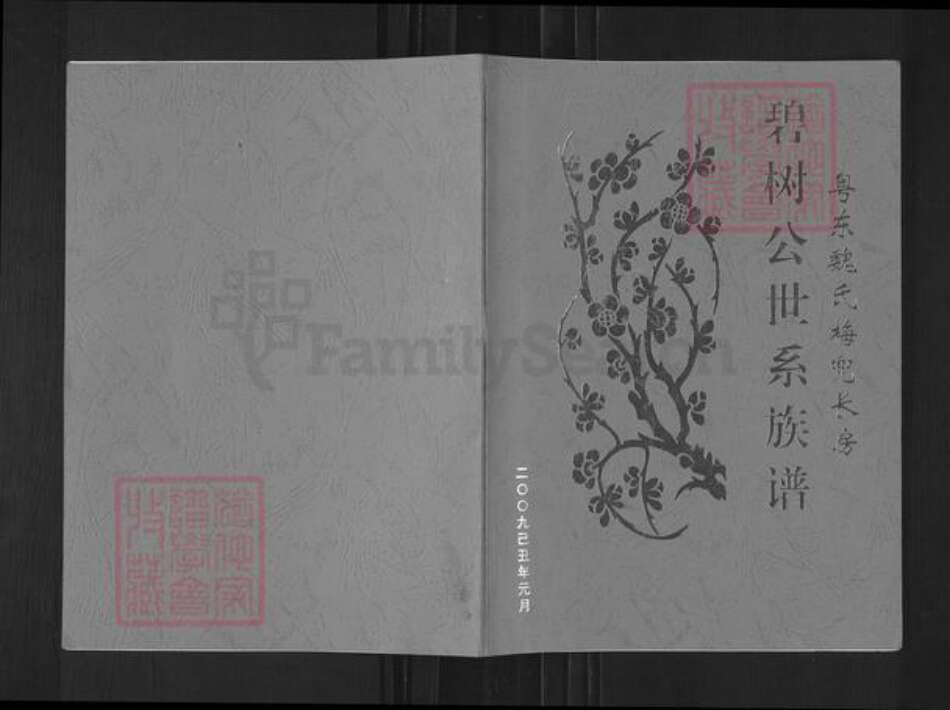 广东省揭阳市榕城区魏氏族谱-碧树公世系族谱粤东魏氏梅兜长房.pdf电子版缩略图