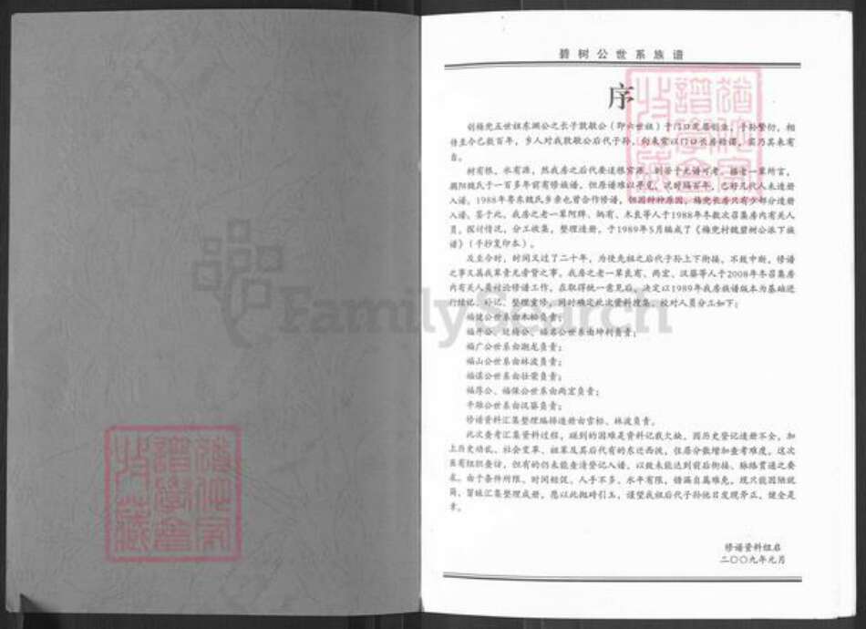 广东省揭阳市榕城区魏氏族谱-碧树公世系族谱粤东魏氏梅兜长房.pdf电子版预览图1