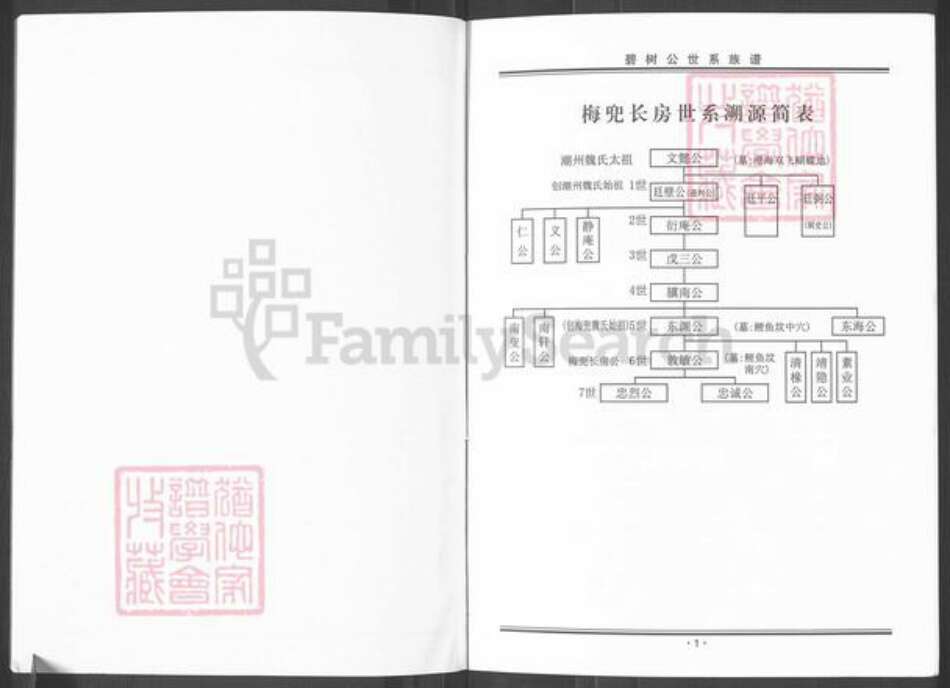 广东省揭阳市榕城区魏氏族谱-碧树公世系族谱粤东魏氏梅兜长房.pdf电子版预览图2