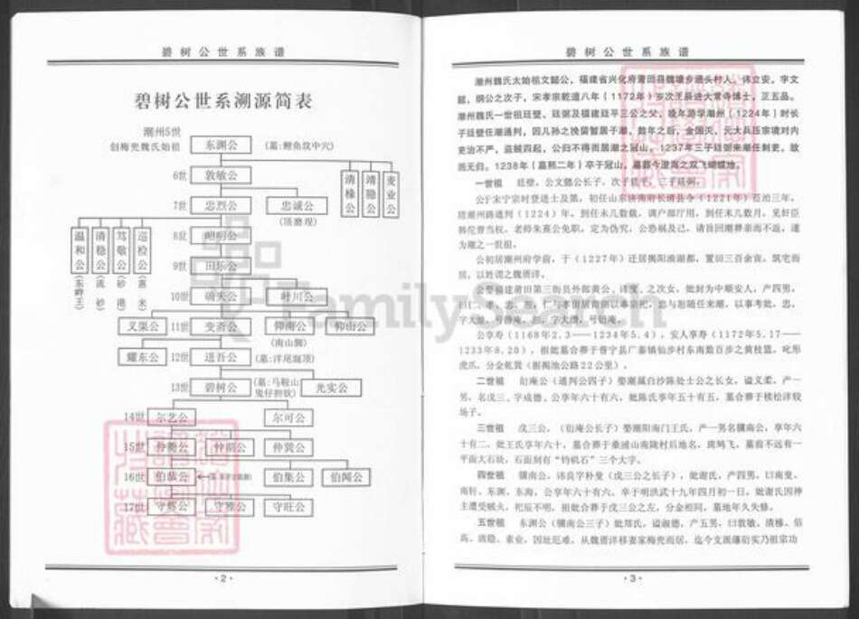 广东省揭阳市榕城区魏氏族谱-碧树公世系族谱粤东魏氏梅兜长房.pdf电子版预览图3