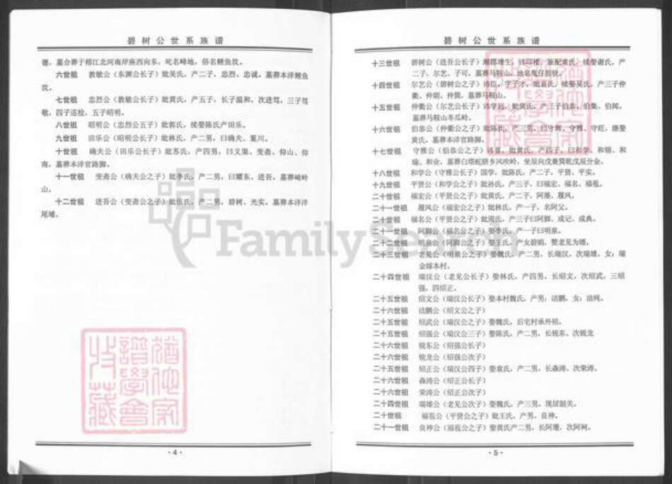 广东省揭阳市榕城区魏氏族谱-碧树公世系族谱粤东魏氏梅兜长房.pdf电子版预览图4