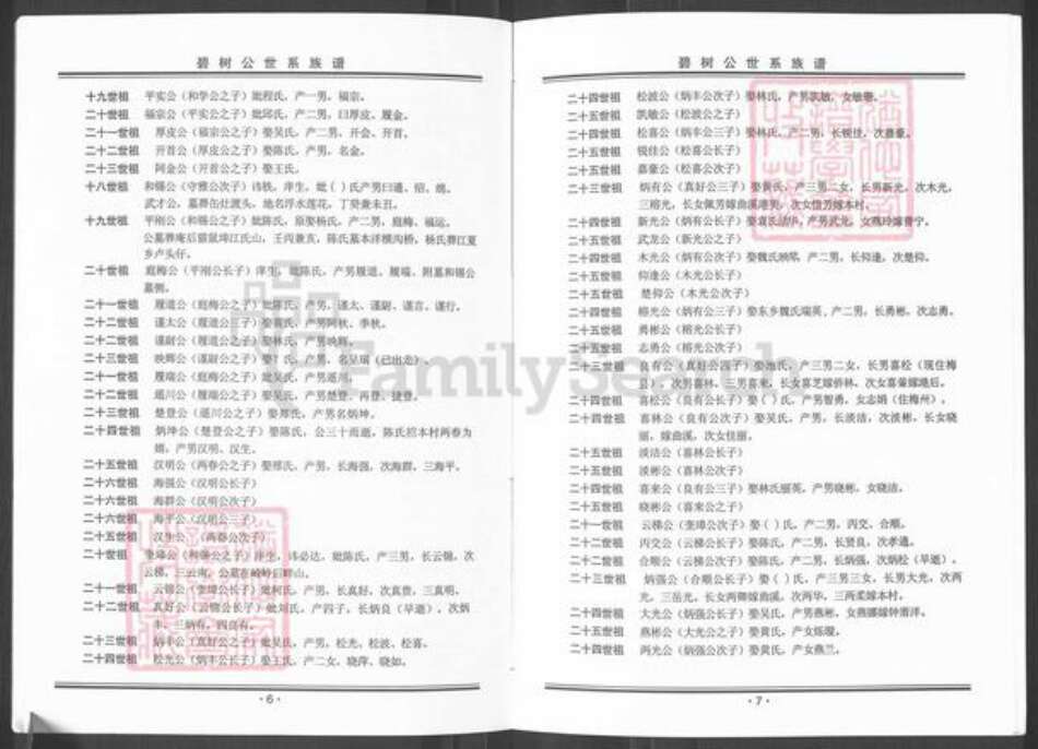 广东省揭阳市榕城区魏氏族谱-碧树公世系族谱粤东魏氏梅兜长房.pdf电子版预览图5
