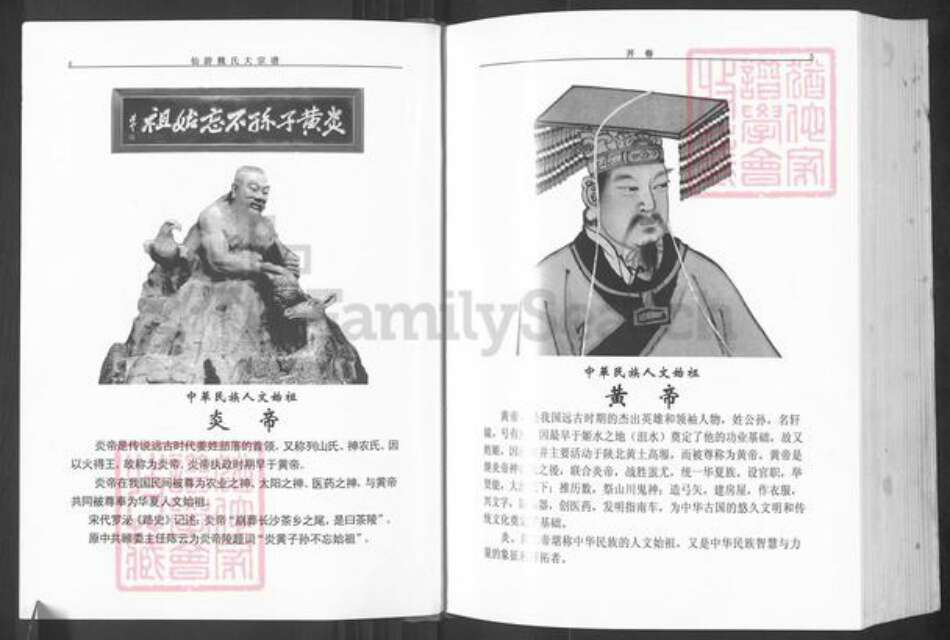 福建省莆田市仙游县枫亭镇魏氏巨鹿堂族谱-仙游魏氏大宗谱.pdf电子版预览图3