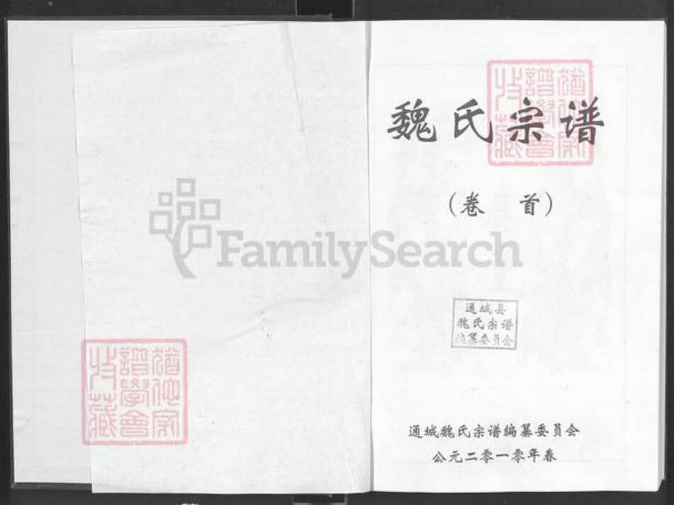 湖北省咸宁市通城县魏氏巨鹿堂族谱-魏氏宗谱.pdf电子版预览图1