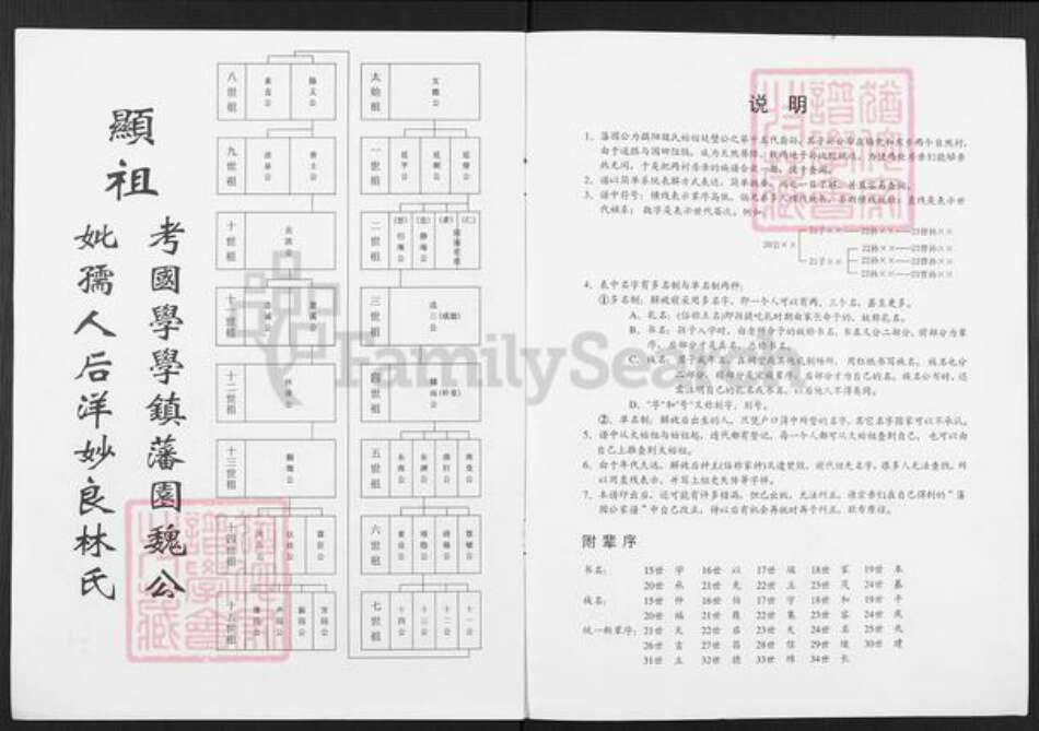 广东省揭阳市榕城区魏氏族谱-藩园公家谱.pdf电子版预览图1