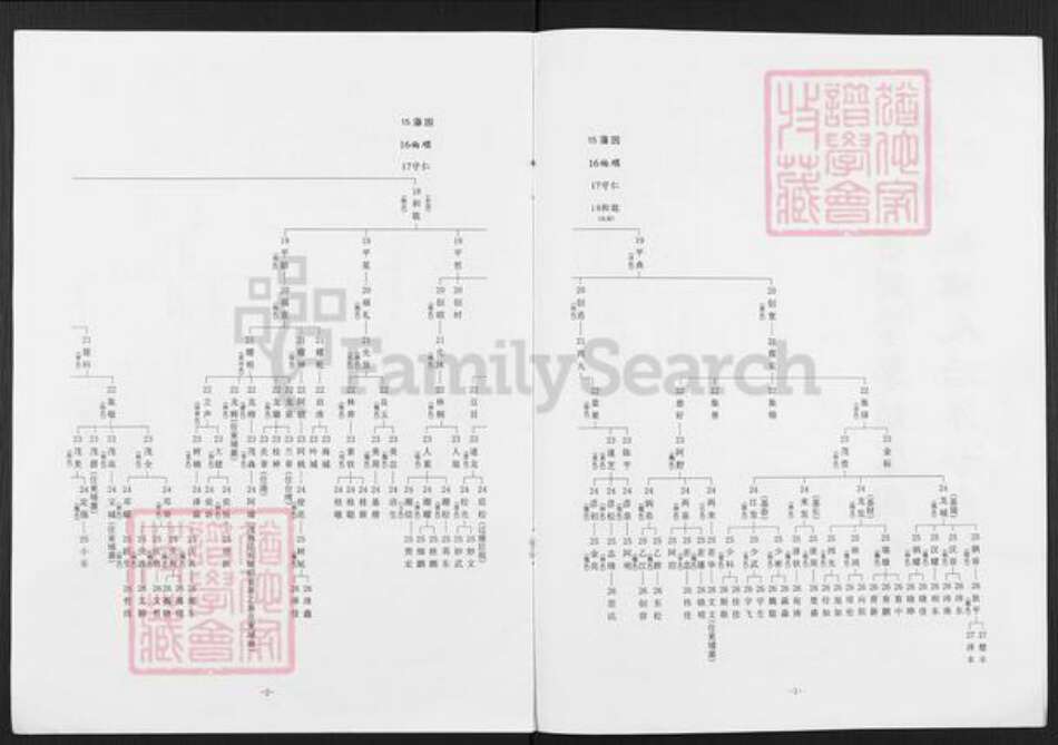 广东省揭阳市榕城区魏氏族谱-藩园公家谱.pdf电子版预览图2