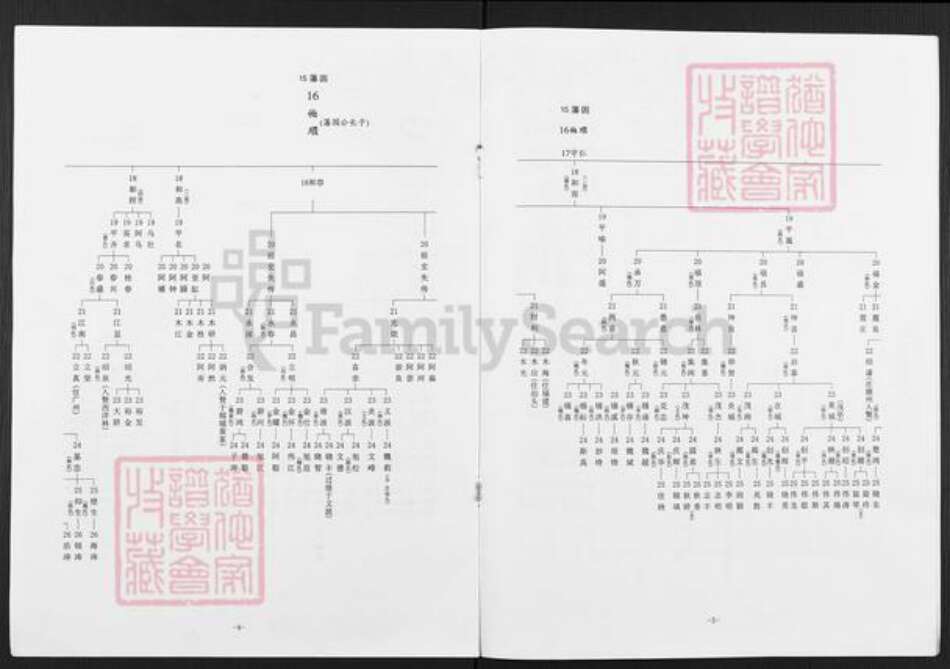 广东省揭阳市榕城区魏氏族谱-藩园公家谱.pdf电子版预览图3
