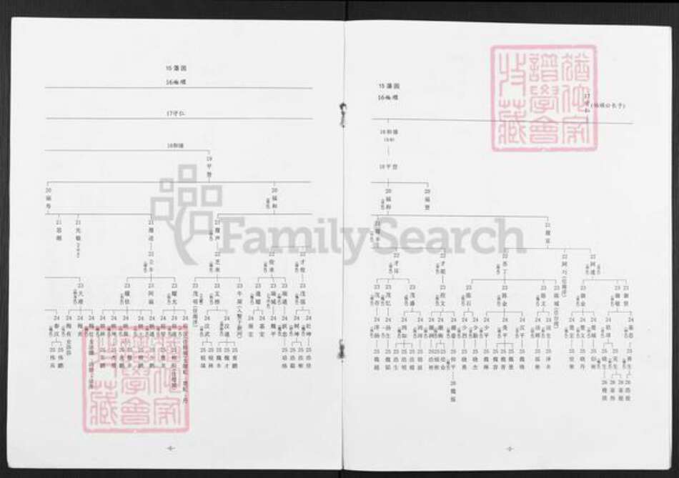 广东省揭阳市榕城区魏氏族谱-藩园公家谱.pdf电子版预览图4