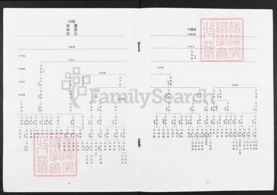 广东省揭阳市榕城区魏氏族谱-藩园公家谱.pdf电子版预览图5