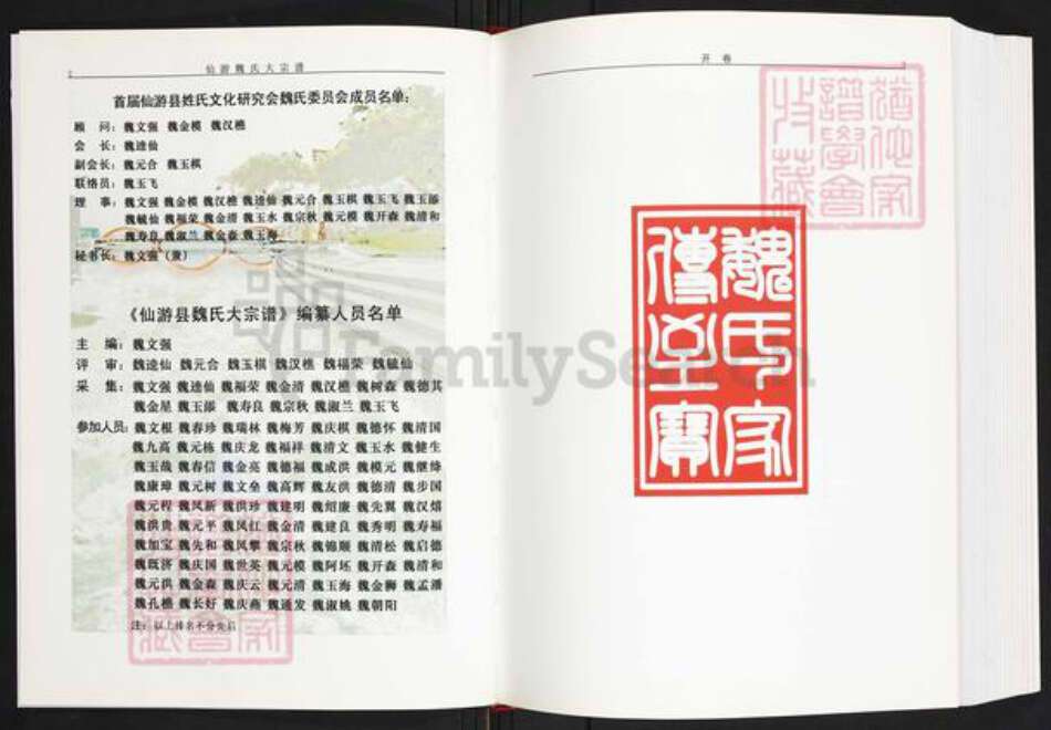 福建省莆田市仙游县书峰乡魏氏族谱-仙游魏氏大宗谱.pdf电子版预览图2