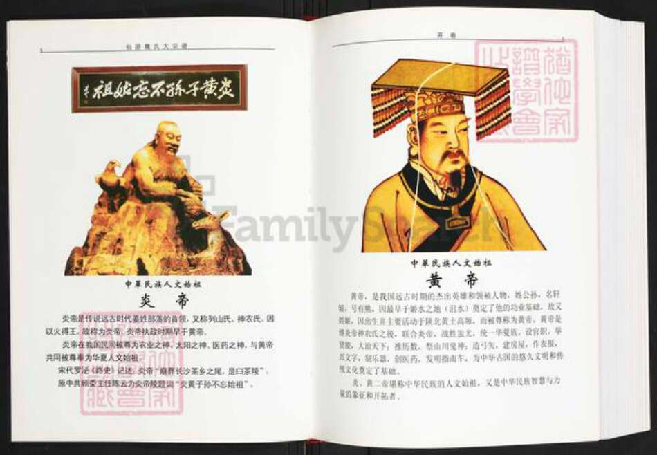 福建省莆田市仙游县书峰乡魏氏族谱-仙游魏氏大宗谱.pdf电子版预览图3