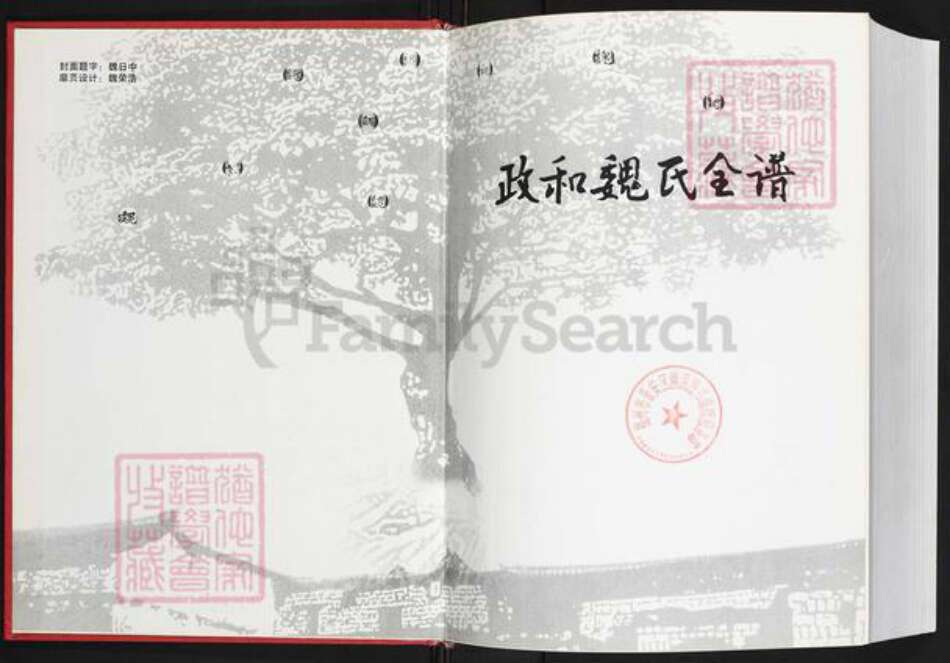 福建省南平市政和县魏氏九合堂族谱-政和魏氏全谱.pdf电子版预览图1