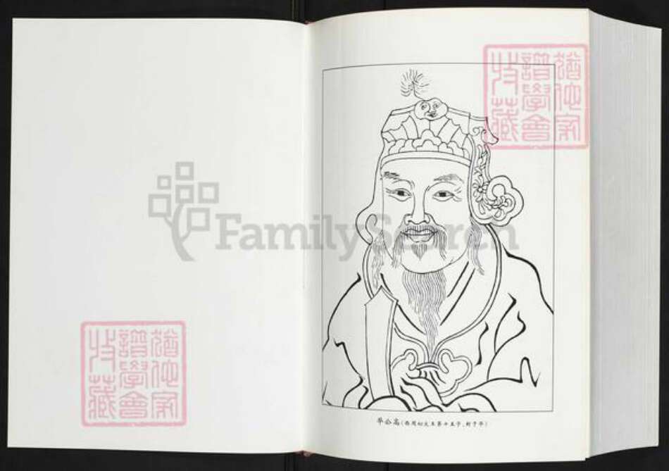 福建省南平市政和县魏氏九合堂族谱-政和魏氏全谱.pdf电子版预览图2