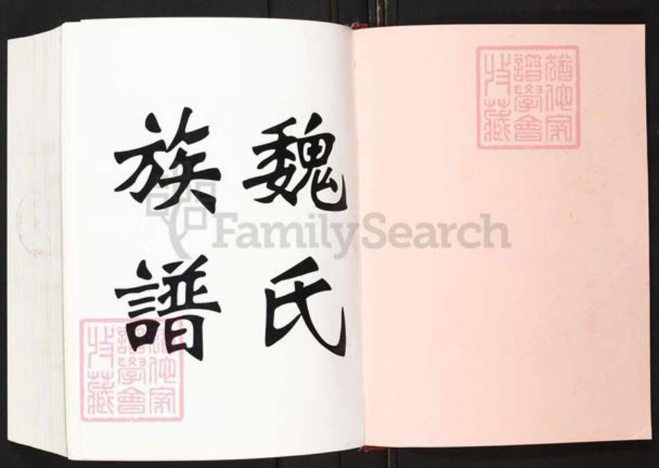 福建省福州市平潭县敖东镇魏氏族谱-平潭魏氏族谱.pdf电子版预览图1