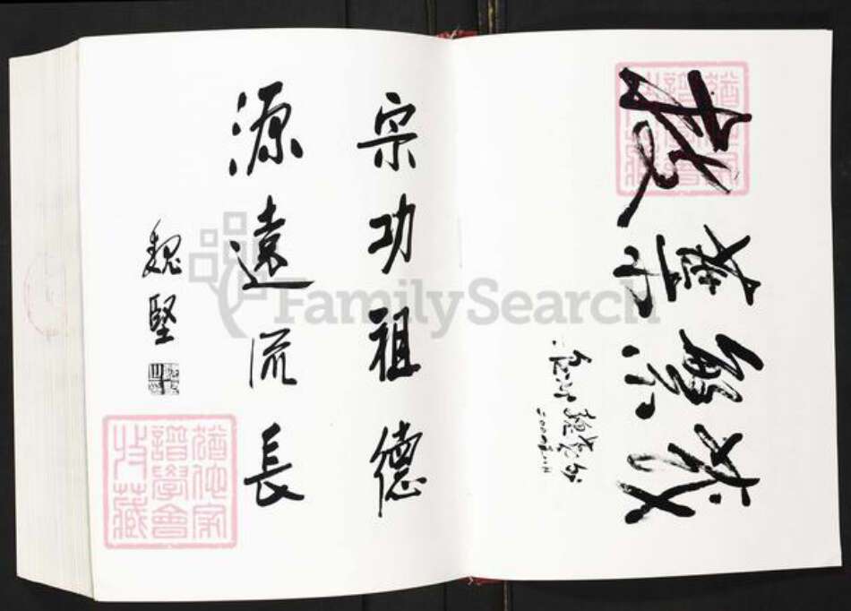 福建省福州市平潭县敖东镇魏氏族谱-平潭魏氏族谱.pdf电子版预览图5