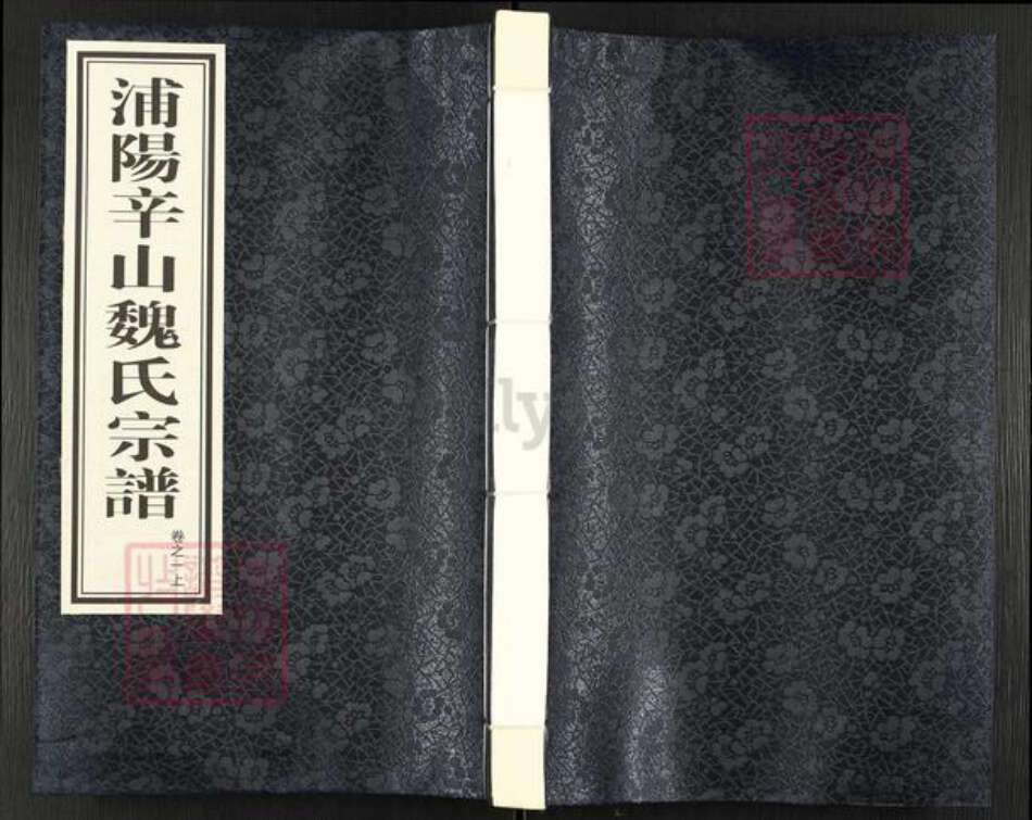 浙江省杭州市萧山区萧山魏氏上明堂族谱-浦阳辛山魏氏宗谱.pdf电子版缩略图